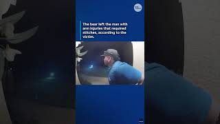 Black bear attacks man in early morning hours, see the doorbell video #Shorts