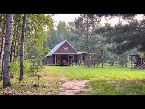 Off Grid In Minnesota: Working On The Addition, Picking WILD Blueberries