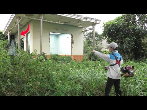 Cleaning the Old House, Mysterious Sounds Appear, Scaring the Whole Team! | Clean Up