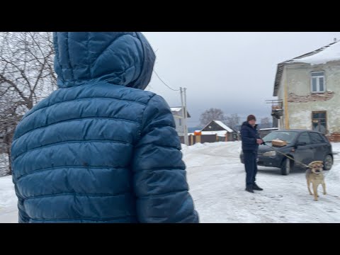 Хозяина забрали на СВО, а собака осталась брошенной на ЦЕПИ, НА ХОЛОДЕ!