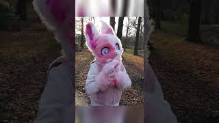 Nom | Leipziger Furry Stammtisch | 30. November 2024 | #Furry | Tankii