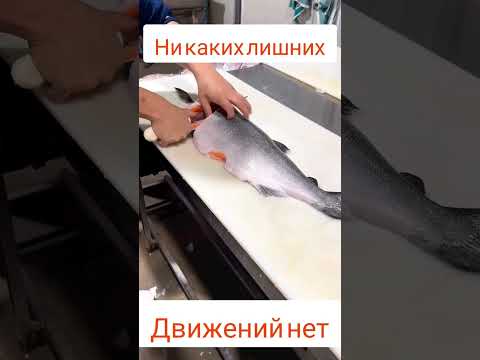 Раздельщик лосося 90 уровня!!!