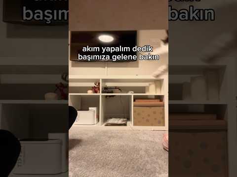 mesude yaaa
