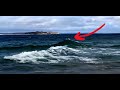 Wave Behavior and Interference Concepts