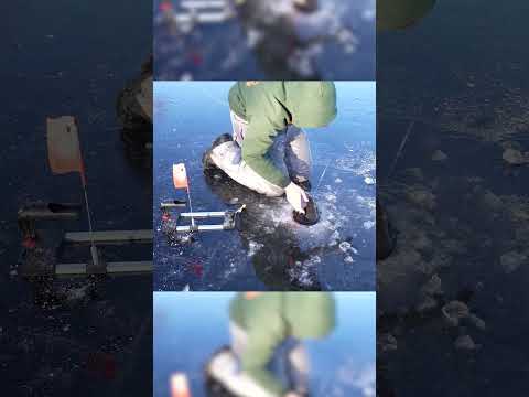 That brook trout was HUGE! video thumbnail