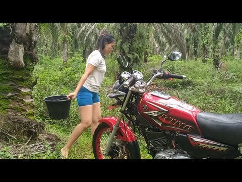 kegiatan ku di kebun I nyuci motor dan masak