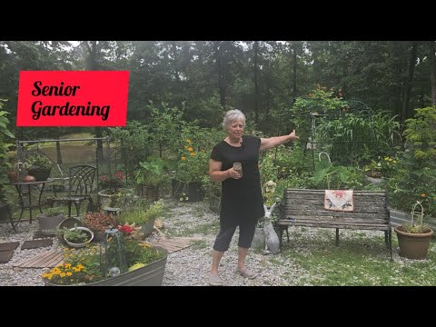How I Harvest, and dry my Herbs, Teas, Garlic! Senior Garden Journey.