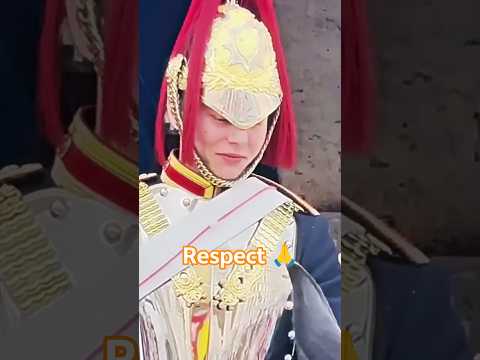 please respect kingsguard 🥺 #horseguardsparade #peterellis #kingsguard #tourist