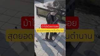 ตำนานม้าไม้เมืองทรอย