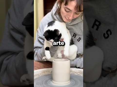 Un artista felino