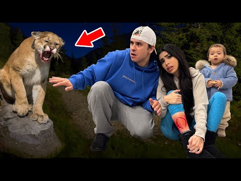 A Wild Animal ATTACKED My Wife!