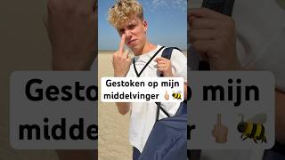 GEPRIKT door WESP op MIDDELVINGER! 🤕🖕🏼🐝#wesp #strand #familie #vakantie #shorts #baileyfreestyle