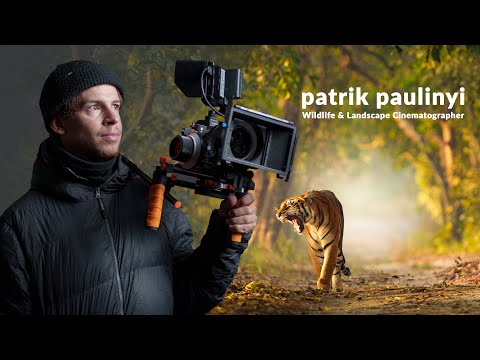 Patrik Paulinyi // Wildlife reel