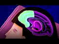 Impact of Sleep on Emotional Brain