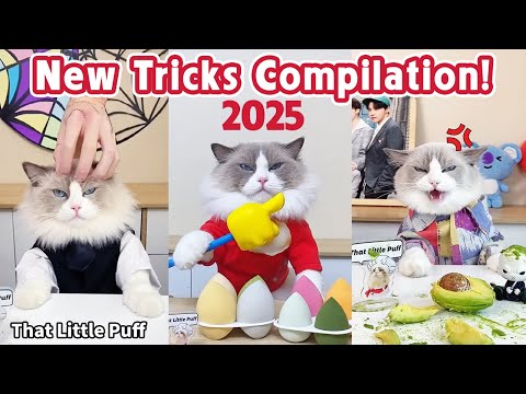 NEW TRICKS COMPILATION 2025! 🔥 Best Tricks Ever! | That Little Puff