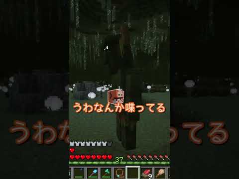 どっち？【マイクラ】