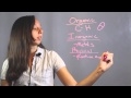 Branches of Chemistry Overview