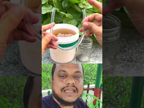 এভাবে পানি উঠানো যায় অনেকেই জানেনা #shorts #shortsvideo #gramerbhaisab #duetvideo #voiceover #duet