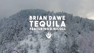 BRIAN DAWE FEAT. D.NICOLL - TEQUILA | DAN + SHAY COVER