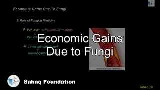 Economic Gains Due to Fungi