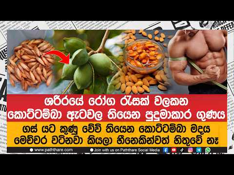 ශරීරයේ රෝග රැසක් වලකන කොට්ටම්බා ඇටවල තියෙන පුදුමාකාර ගුණය