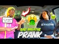 Binky's Bad Breath Prank Analysis