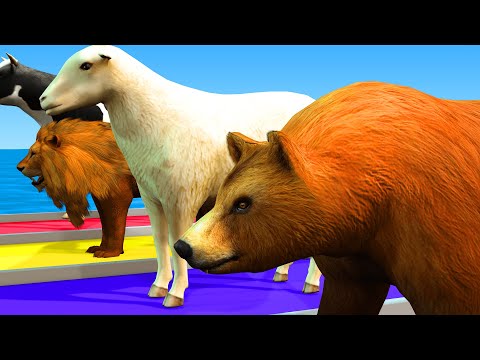 Lion, Bear, cow, Sheep. Funny Animals Animation