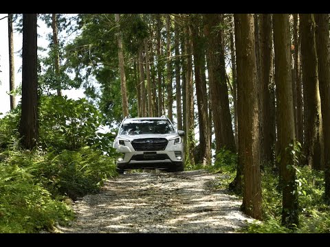 Subaru Forester Active