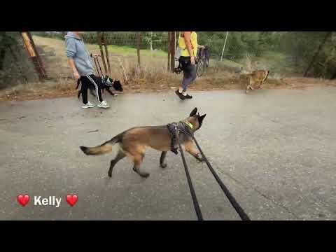 click to play the video