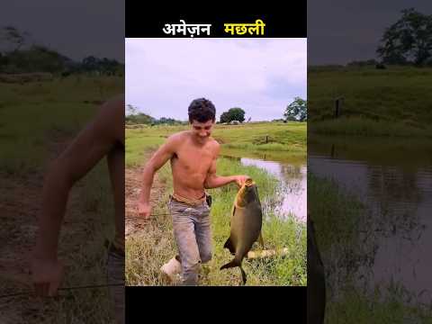 अमेज़न मछली 😱 #aivideo #fishing #fascinatinginformation #amazingfacts #facts #youtubeshorts