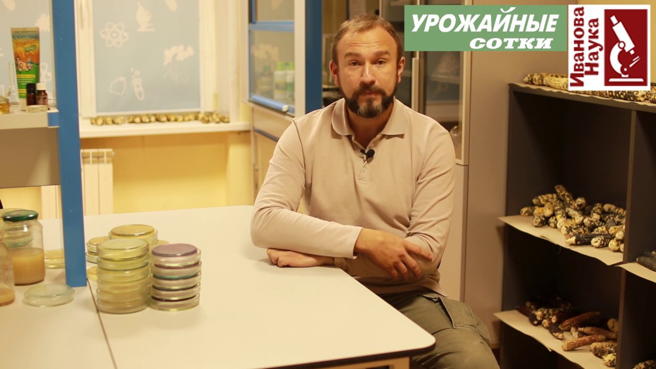 Без этого приёма вам не избавиться от болезней и прочих напастей!
