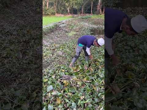 🤲🤲🤲🤲 #viral #shorts #shortvideo #viralvideo #trending #facts