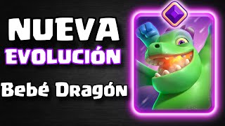 Bebé Dragón Evolución llega a Clash Royale 🐉