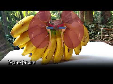 কিডনি ভালো হবে যে খাবার খেলে| কিডনি সুস্থ করতে পারে যে খাবারগুলো| Food for Healthy Kidney