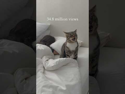 Marley’s CRAZIEST wake ups
