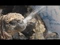 ビデオチュートリアルクイズ