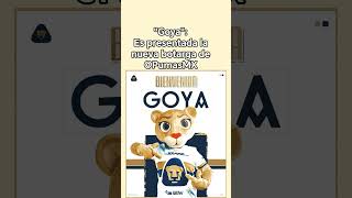 "Goya":Es presentada la nueva botarga de @PumasMX #goya #botarga