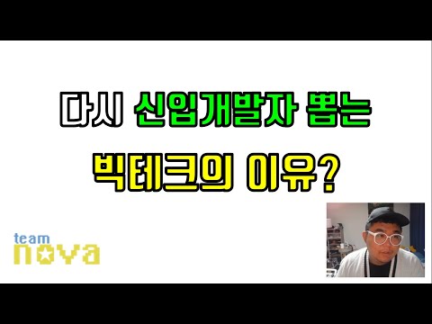 다시 신입 뽑는 한국 빅테크의 이유 ( 개인적 뇌피셜 )