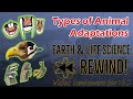 Animal Adaptations and Survival Strategies