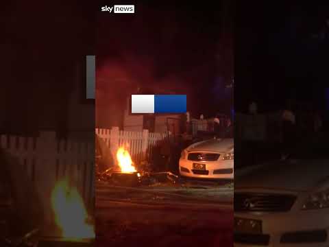 Florida firefighters rescue three dogs after electric scooter causes house fire
