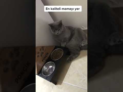 Yok böyle memnuniyetsizlik 🤦🏻‍♀️
