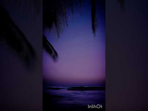 Relaxing Piano || Guitar Music for Stress Relief and Meditation