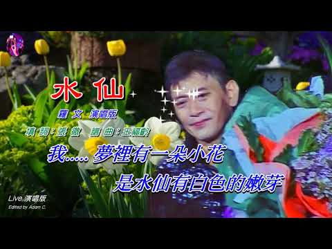 水仙〈華語〉羅文〈Live 演唱版〉