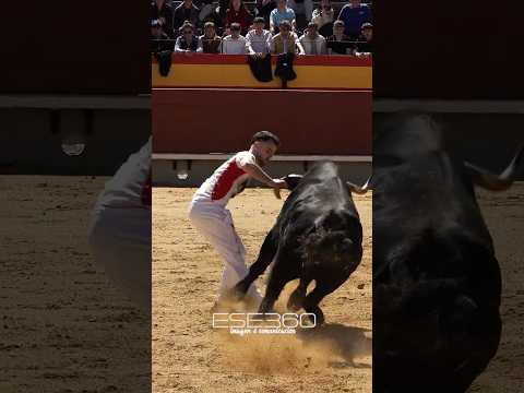 TORO LE DA UNA PATADA AL RECORTADOR