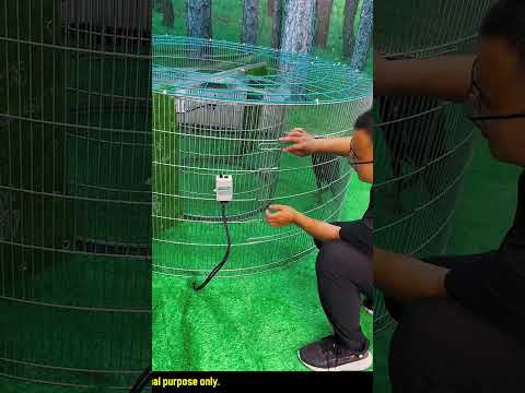Pet lover