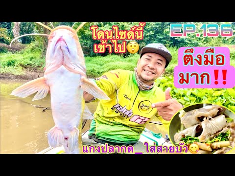 ล่าปลากดใหญ่‼️ในวันน้ำตาย😲ตกปลากดทำแกงสายบัวกินบนเรือ👍😋EP.13