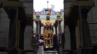 namakkal anjaneyar swamy today darisanam thangakavasa Alangaram!#hanuman#hanumanchalisa#jaishreeram