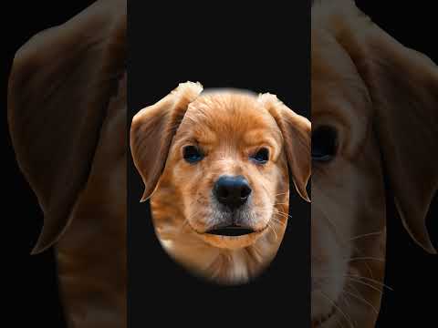 Kamyabi 😎 #sad #sscaspirants #love #motivation #attitude #explore #life #youtube #viralvideo