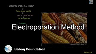 Electroporation Method