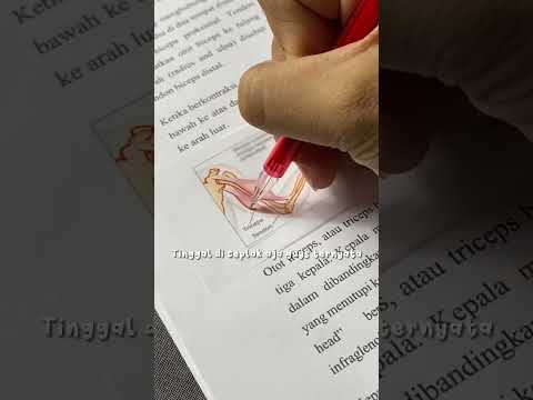 Solusi buat gabisa ngambar pas biologi dll | link produk di komen